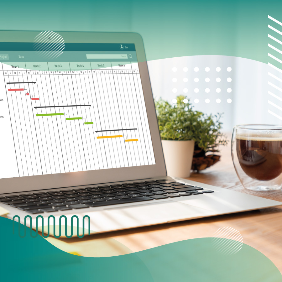 Corso project management base
