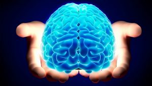 Neuroscienza e apprendimento: cosa stimola la nostra attenzione